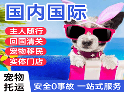 洛阳北郊空运代理国际宠物托运 【国